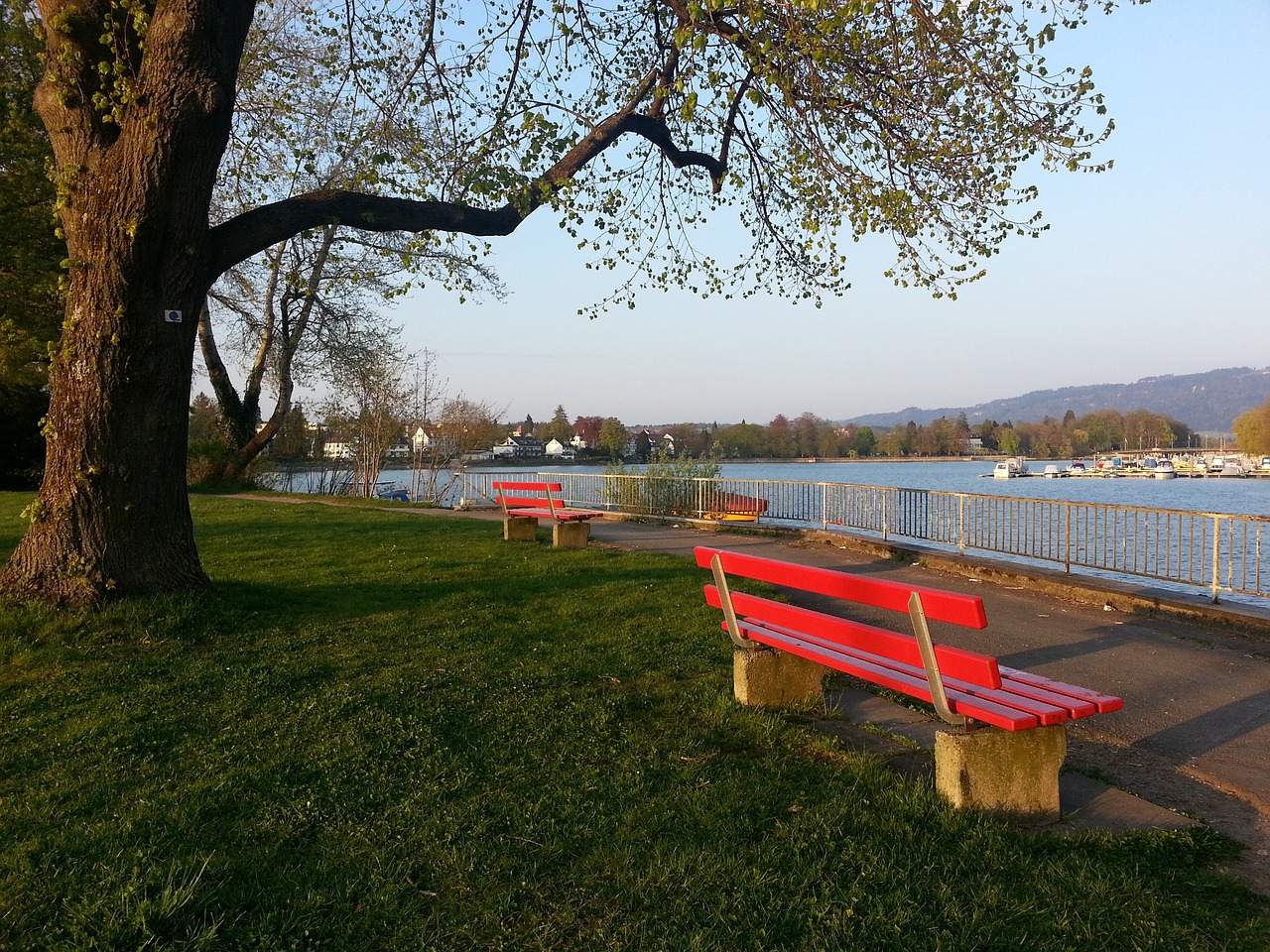 财务运营与 财务运营与