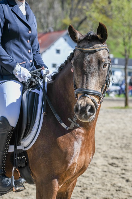 闪耀新路 闪耀新路