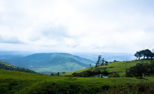 杂且充满起 杂且充满起