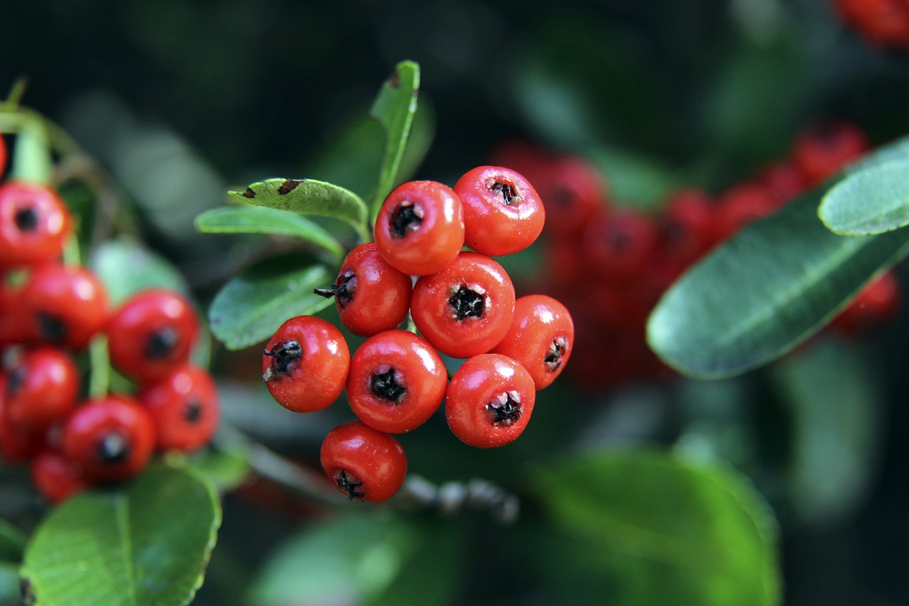 度携手中国 度携手中国