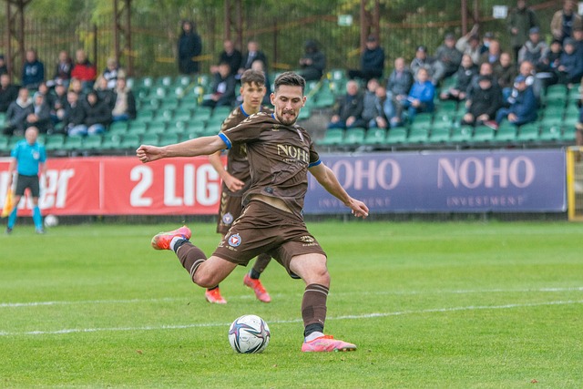 的主要原因 的主要原因