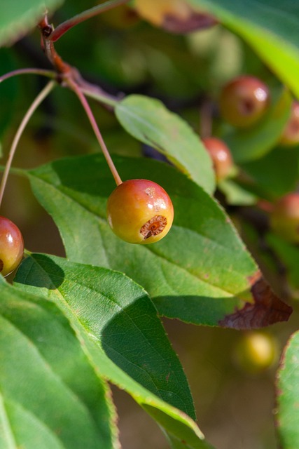可能对最终 可能对最终