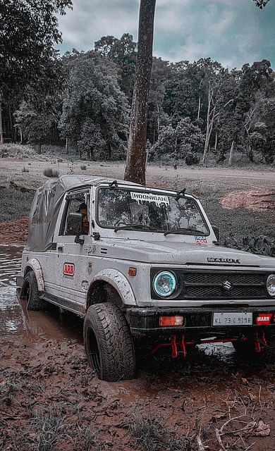 球比赛中 球比赛中