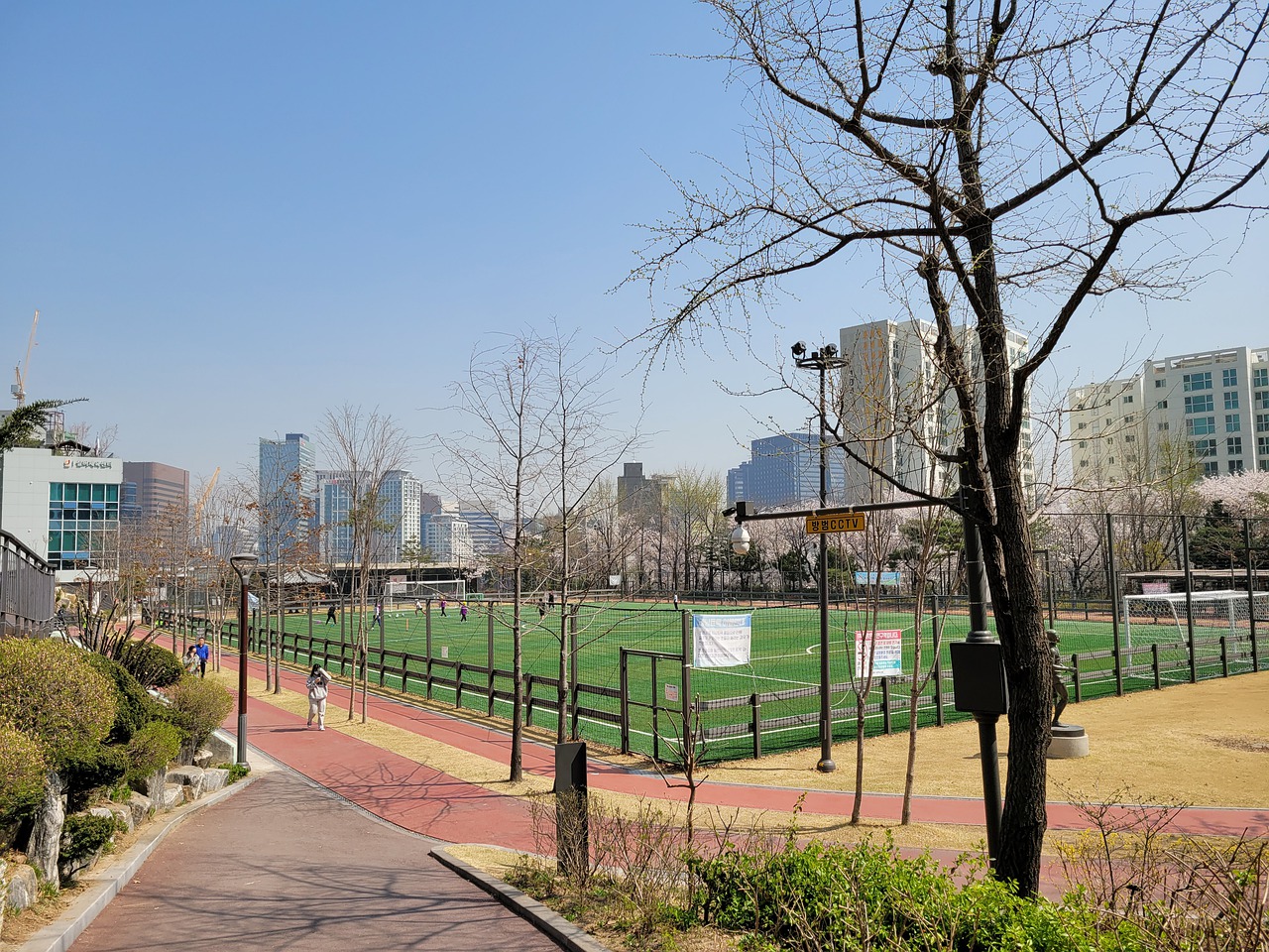 展示了他的 展示了他的